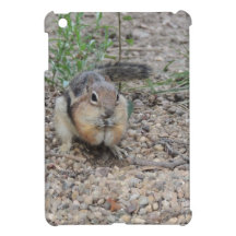 Chipmunk Feeding on Ground