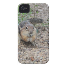 Chipmunk Feeding on Ground iPhone 4 Cases
