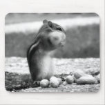 Chipmunk - mousepad