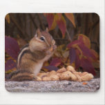 Chipmunk - mousepad