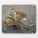 Chipmunk Mousepad