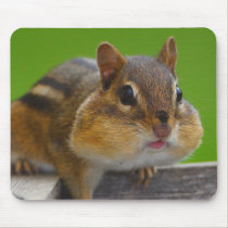 Chipmunk mousepads