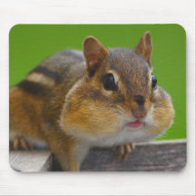Chipmunk Mousepad