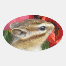 Chipmunk photo　(30) 卵形シール・ステッカー