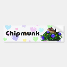 Chipmunk photo　(4)　type1 バンパーステッカー