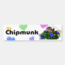 Chipmunk photo　(4)　type1 バンパーステッカー