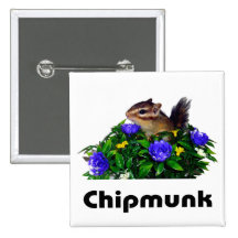 Chipmunk photo　(4)　type1 ピンバック