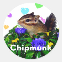 Chipmunk photo　(4)　type1 丸形シール・ステッカー