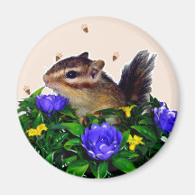 Chipmunk photo　(4)　type1 冷蔵庫マグネット