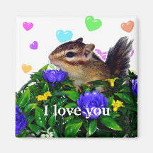 Chipmunk photo　(4)　type1 冷蔵庫用マグネット
