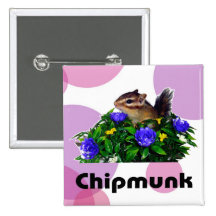 Chipmunk photo　(4)　type1 缶バッジピンバック
