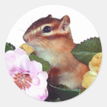 Chipmunk photo　(7-5) 丸形シール・ステッカー