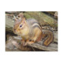 Chipmunk Postcard 2