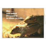 Chipmunk Togetherness Greeting Cards