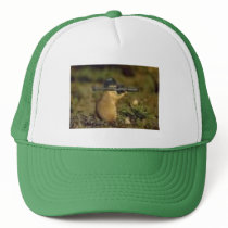 chipmunk with a gun hats