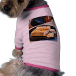 Chipotle Cheddar Cheese Pet Tee