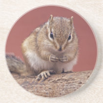 Chippie Coaster