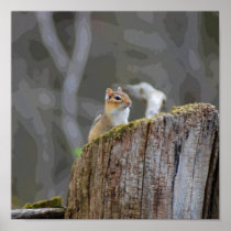 chippy posters