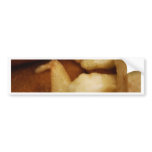Chips Bumper Sticker