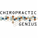 Chiropractic Genius Acrylic Cut Out