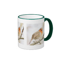 Chirpy Robin Mug