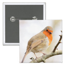 Chirpy Robin Pin