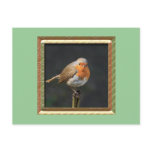 Chirpy Robin Postcards