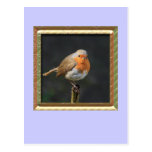 Chirpy Robin Postcards