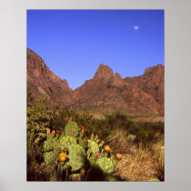 Chisos Moonrise Print