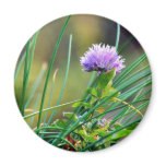 Chives Blue On Grass Fridge Magnet
