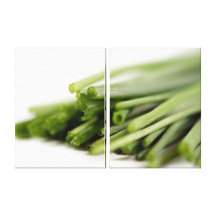 Chives Gallery Wrap Canvas
