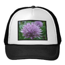 Chives Hat