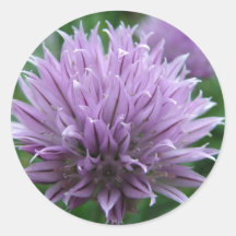 Chives Round Sticker