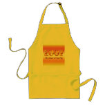 chk16 aprons