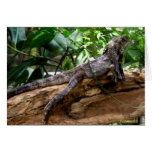 CHLAMYDOSAURUS KINGII GREETING CARDS