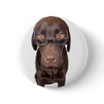 Choccy Lab in Glasses buttons