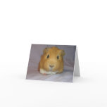 ChoCho Notecard