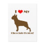Chocolate Boston Terrier Postcard