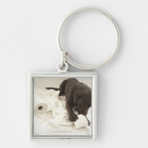 Chocolate brown labrador. key chains