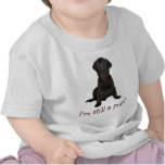 Chocolate Brown Labrador Retriever Puppy t-shirt