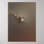 Chocolate Cappuccino Print