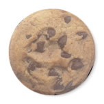 Chocolate Chip Cookie Refrigerator Magnets