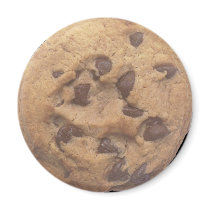Chocolate Chip Cookie Refrigerator Magnets