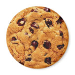 Chocolate Chip Cookie magnets