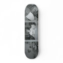 Chocolate Chip Vanilla Icecream 1974 skateboards