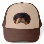 Chocolate Covered Donut Hat
