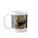 Chocolate Doxie Mugs