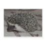 chocolate hedgehog baby postcard