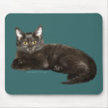 Chocolate Kitten Collection mousepads