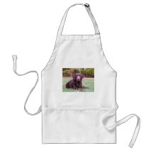 Chocolate Lab Aprons